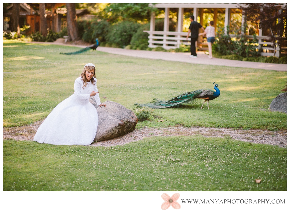 2013-08-29_0031- Orange County Wedding Photographer