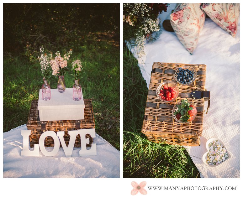 2014-02-01_0269- Valentine's Day Inspired Picnic Styled Engagement Shoot | Orange County Wedding Photographer